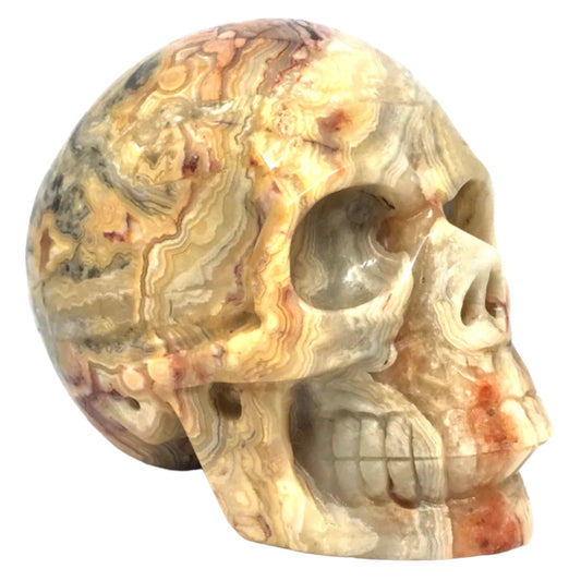 Crazy Lace Agate Crystal Skull